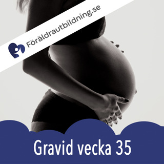 Gravid vecka 35 - graviditetskalender