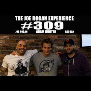 The Joe Rogan Experience