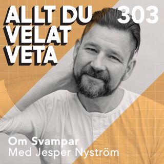 Allt du velat veta