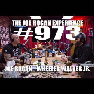 The Joe Rogan Experience