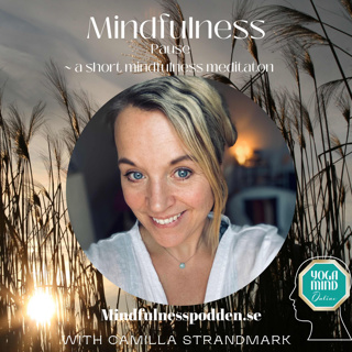 Mindfulnesspodden Mindfulness & Yoga på Svenska & Engelska