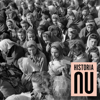 Sverige under andra världskriget: När historien vägrade vända