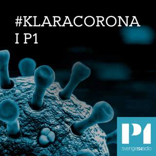 #klaracorona i P1