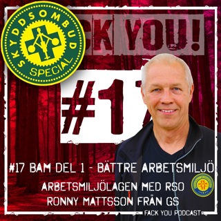 017 - BAM Del 1 - Bättre Arbetsmiljö - Arbetsmiljölagen med RSO Ronny Mattson från GS  - Skyddsombud Special