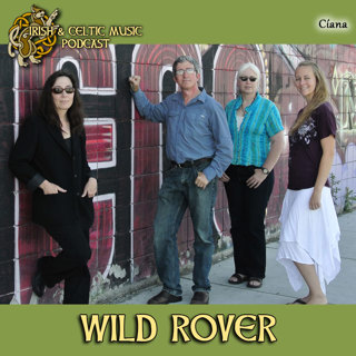 Wild Rover #528