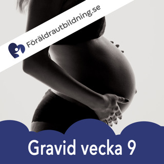 Gravid vecka 9 - graviditetskalender