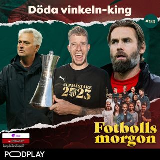 213. Döda vinkeln-king