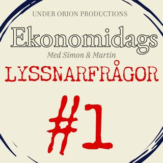 Ekonomidags