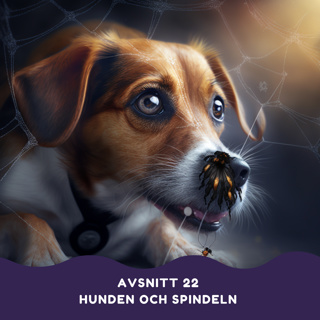 Hunden och spindeln