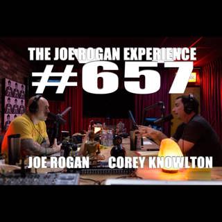 The Joe Rogan Experience