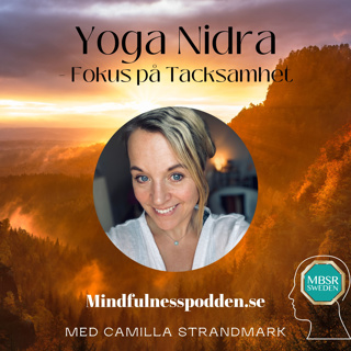 Yoga Nidra med fokus på tacksamhet🙏