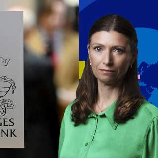 Därför behöver riksbanken politikens hjälp