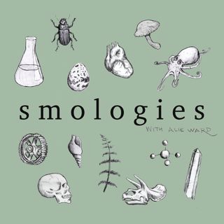 Smologies #41: PELICANS with Juita Martinez