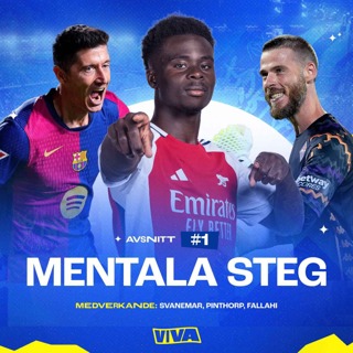 #1 - Mentala Steg