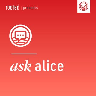 Ask Alice: Talking to Your Kids About Current Events