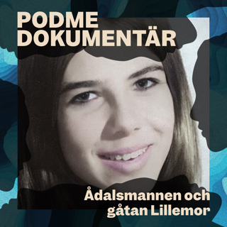 Ådalsmannen och gåtan Lillemor – Del 1: Var är hon?