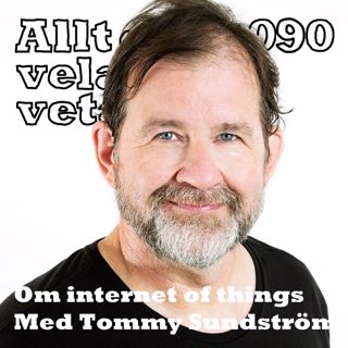 Allt du velat veta