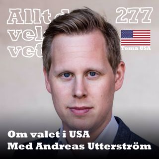 Allt du velat veta