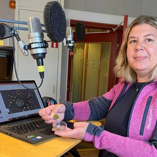 Vetenskapsradion Nyheter