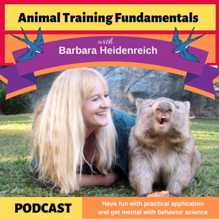 31-Is The Future of Animal Training Constructional? With Sean Will and Maasa Nishimuta