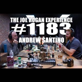 The Joe Rogan Experience