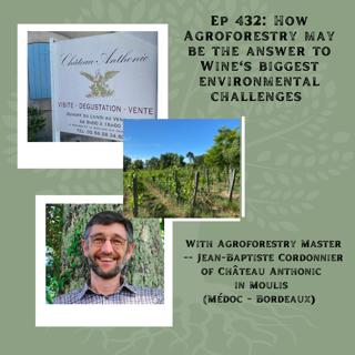 Friends of the Pod Series -- Ep 432: Agroforestry -- An Answer to Wine's Biggest Environmental Challenges with Jean-Baptiste Cordonnier of Château Anthonic in Moulis-en-Médoc