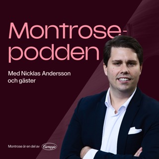 #3 - Nästan allt du behöver veta om investmentbanken Carnegie och vd Tony Elofsson