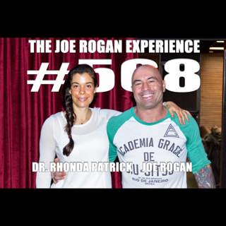 The Joe Rogan Experience