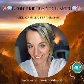 ✨💭Drömmarnas Yoga Nidra (20 min)💭✨