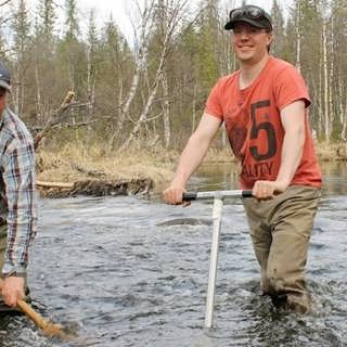 Europas natur ska återskapas – Sverige inte med på tåget