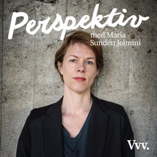 Perspektiv - med Per Grankvist