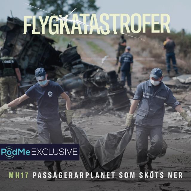 MH17 - Passagerarplanet som sköts ner