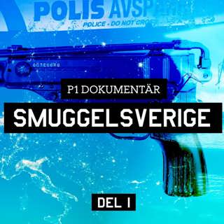 Smuggelsverige – Vapnet som dödade vår son | del 1/6