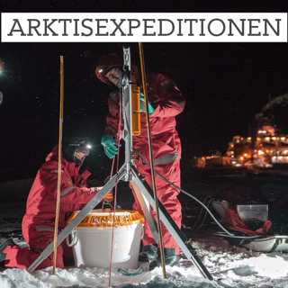 Arktisexpeditionen