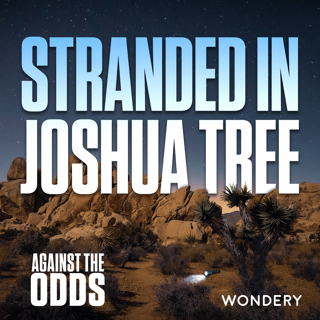 Stranded in Joshua Tree | 1