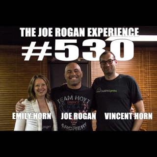 The Joe Rogan Experience