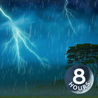 Sleep Soundly with Thunder & Rain | 8 Hours