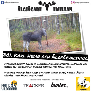 Älgjägare emellan