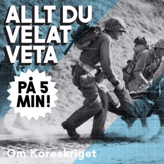 Allt du velat veta