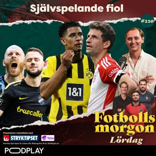 220. Självspelande fiol