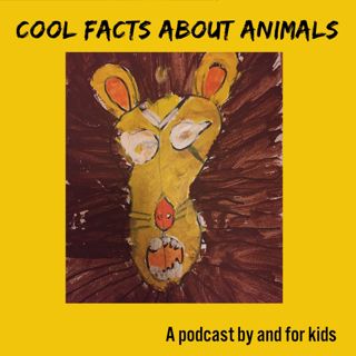 Cool Facts About Animals