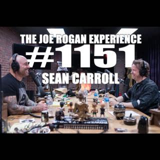 #1151 - Sean Carroll