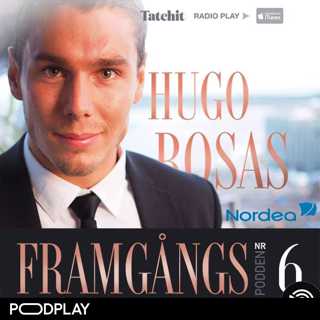 6. Bloggaren Hugo Rosas, short version