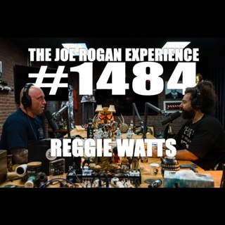 The Joe Rogan Experience