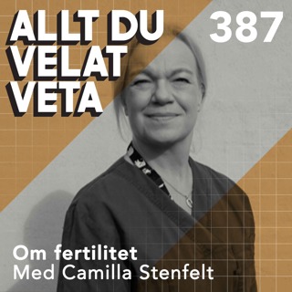 Allt du velat veta