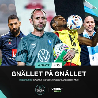 #110 Gnället på gnället