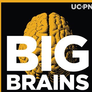 Big Brains