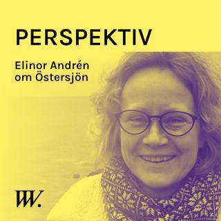 Perspektiv - med Per Grankvist