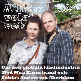 Allt du velat veta