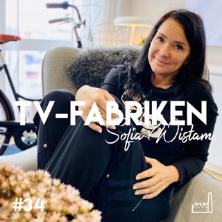 TV-fabriken